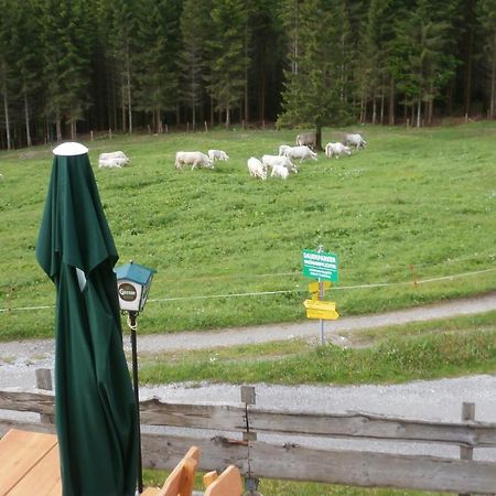 Gasthof Untere Valentinalm Hotel Plöcken Zewnętrze zdjęcie