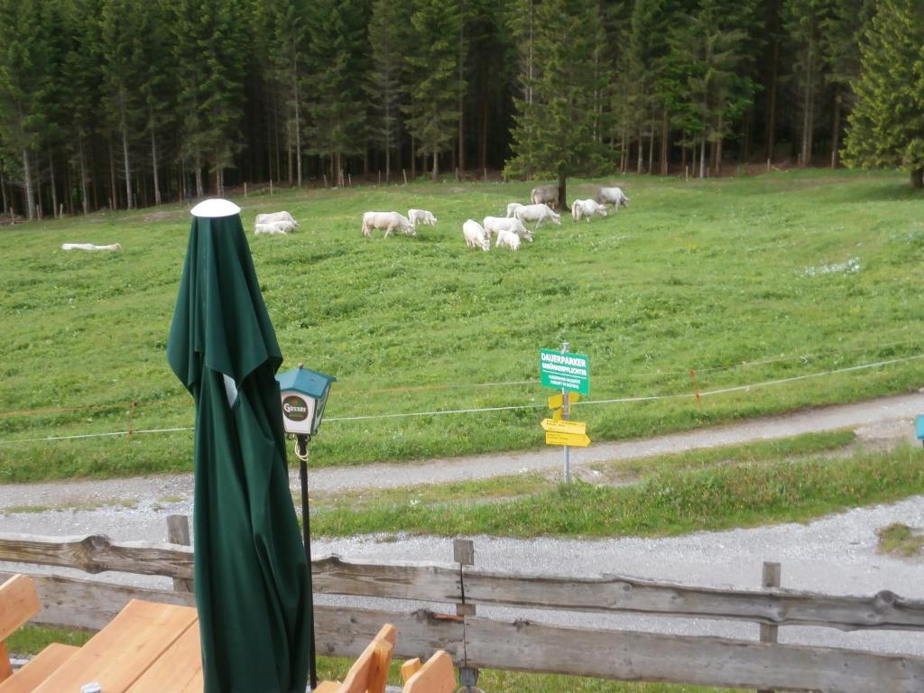 Gasthof Untere Valentinalm Hotel Plöcken Zewnętrze zdjęcie